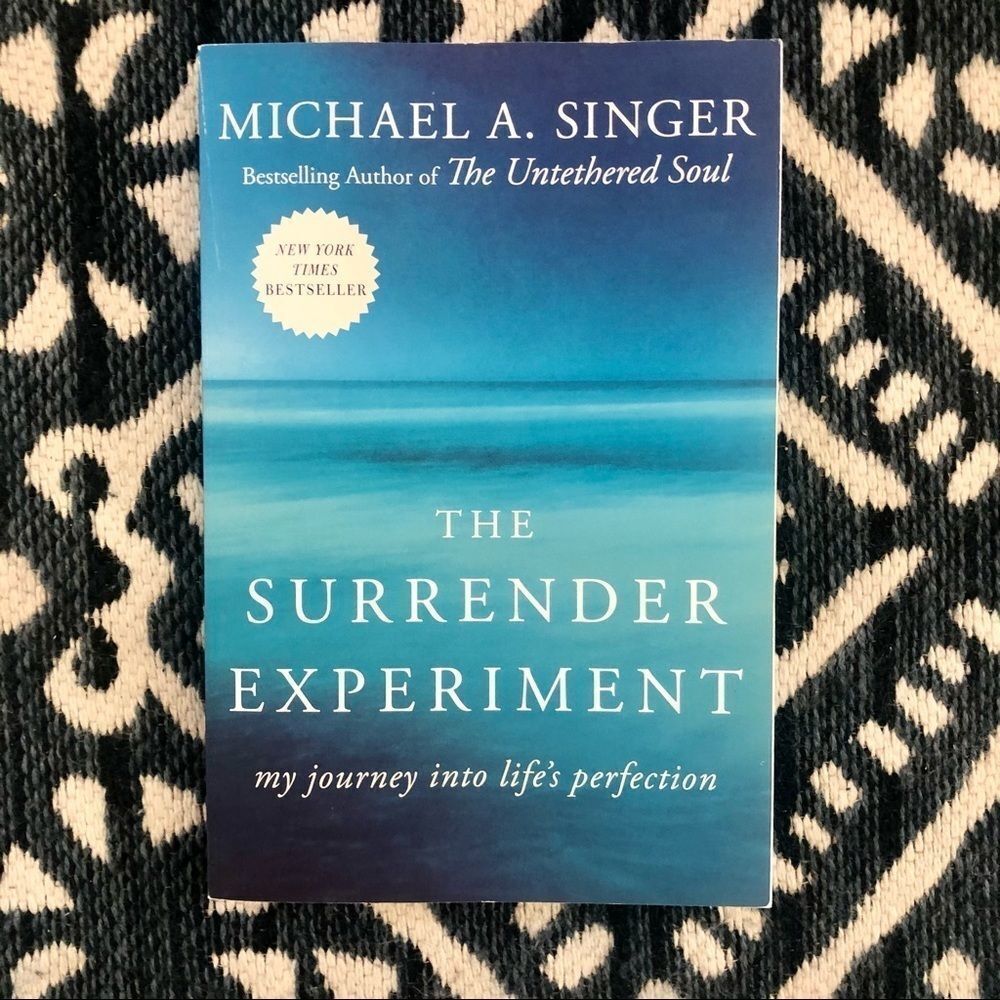 Michael Singer The Surrender Experiment